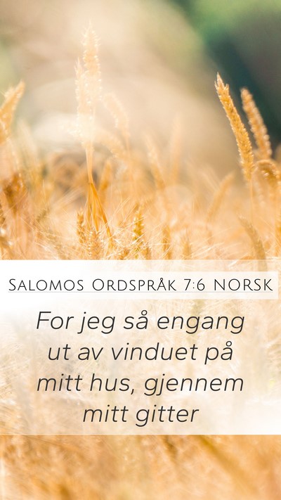 Salomos Ordspråk 7:6 NORSK Bible Verse Image