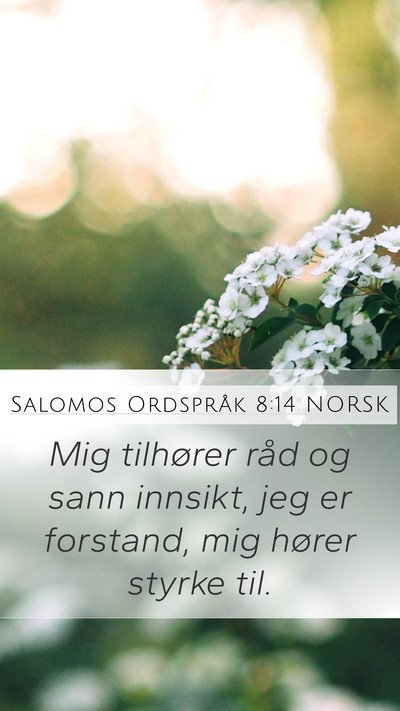 Salomos Ordspråk 8:14 NORSK Bible Verse Image