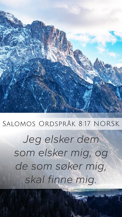 Salomos Ordspråk 8:17 NORSK Bible Verse Image