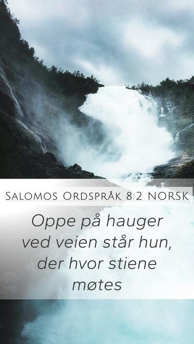 Salomos Ordspråk 8:2 NORSK Bible Verse Image