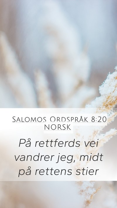 Salomos Ordspråk 8:20 NORSK Bible Verse Image
