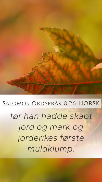Salomos Ordspråk 8:26 NORSK Bible Verse Image
