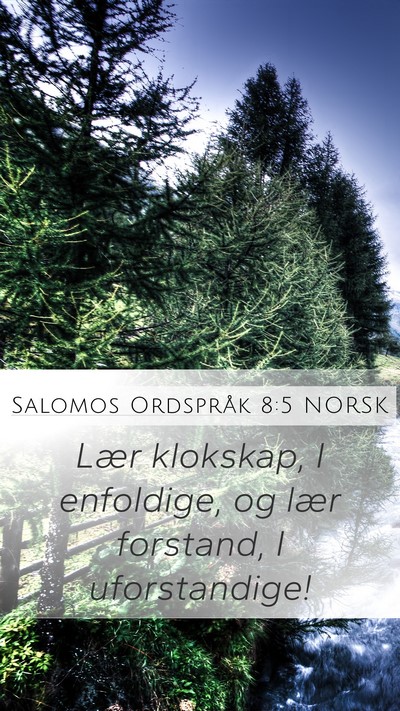Salomos Ordspråk 8:5 NORSK Bible Verse Image