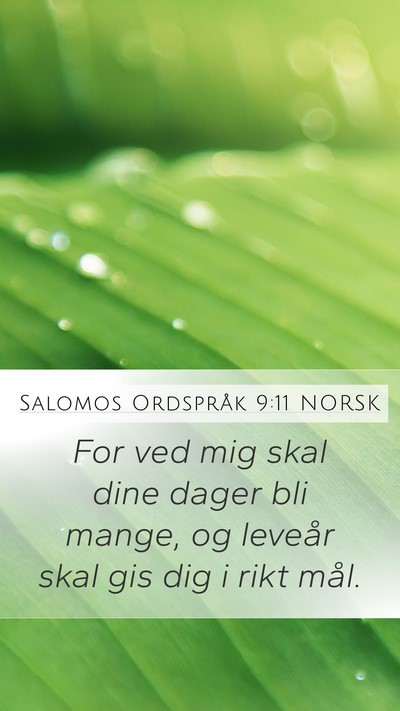 Salomos Ordspråk 9:11 NORSK Bible Verse Image