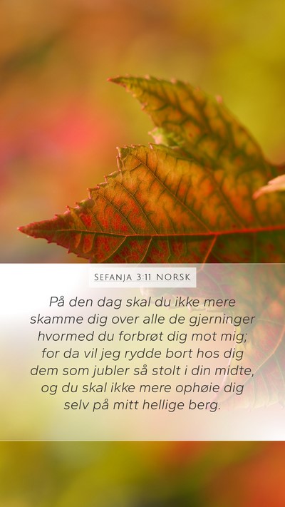 Sefanja 3:11 NORSK Bible Verse Image