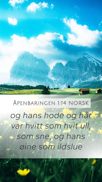 Åpenbaringen 1:14 NORSK Bible Verse Image