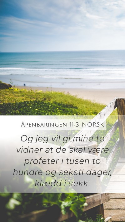 Åpenbaringen 11:3 NORSK Bible Verse Image