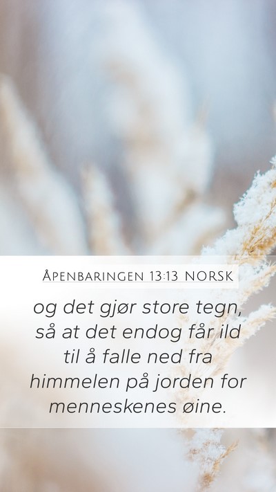 Åpenbaringen 13:13 NORSK Bible Verse Image