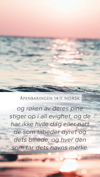 Åpenbaringen 14:11 NORSK Bible Verse Image
