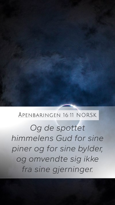 Åpenbaringen 16:11 NORSK Bible Verse Image