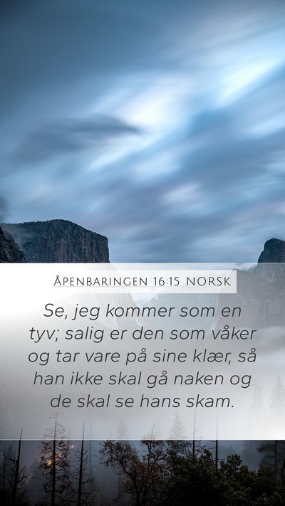 Åpenbaringen 16:15 NORSK Bible Verse Image