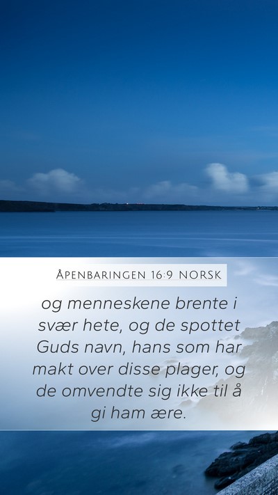 Åpenbaringen 16:9 NORSK Bible Verse Image
