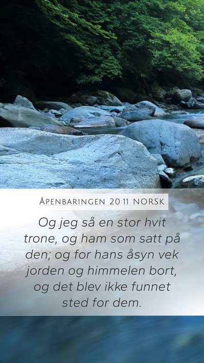 Åpenbaringen 20:11 NORSK Bible Verse Image