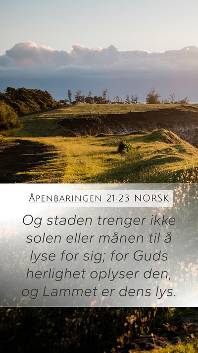 Åpenbaringen 21:23 NORSK Bible Verse Image
