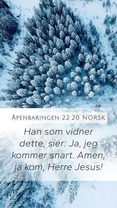 Åpenbaringen 22:20 NORSK Bible Verse Image