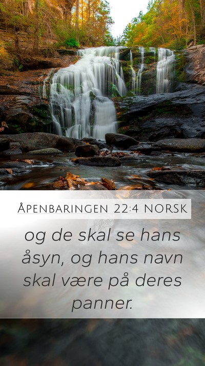 Åpenbaringen 22:4 NORSK Bible Verse Image