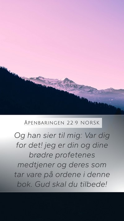 Åpenbaringen 22:9 NORSK Bible Verse Image