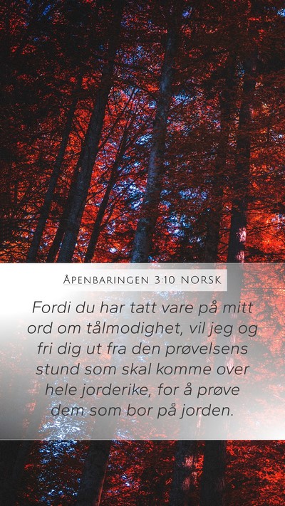 Åpenbaringen 3:10 NORSK Bible Verse Image